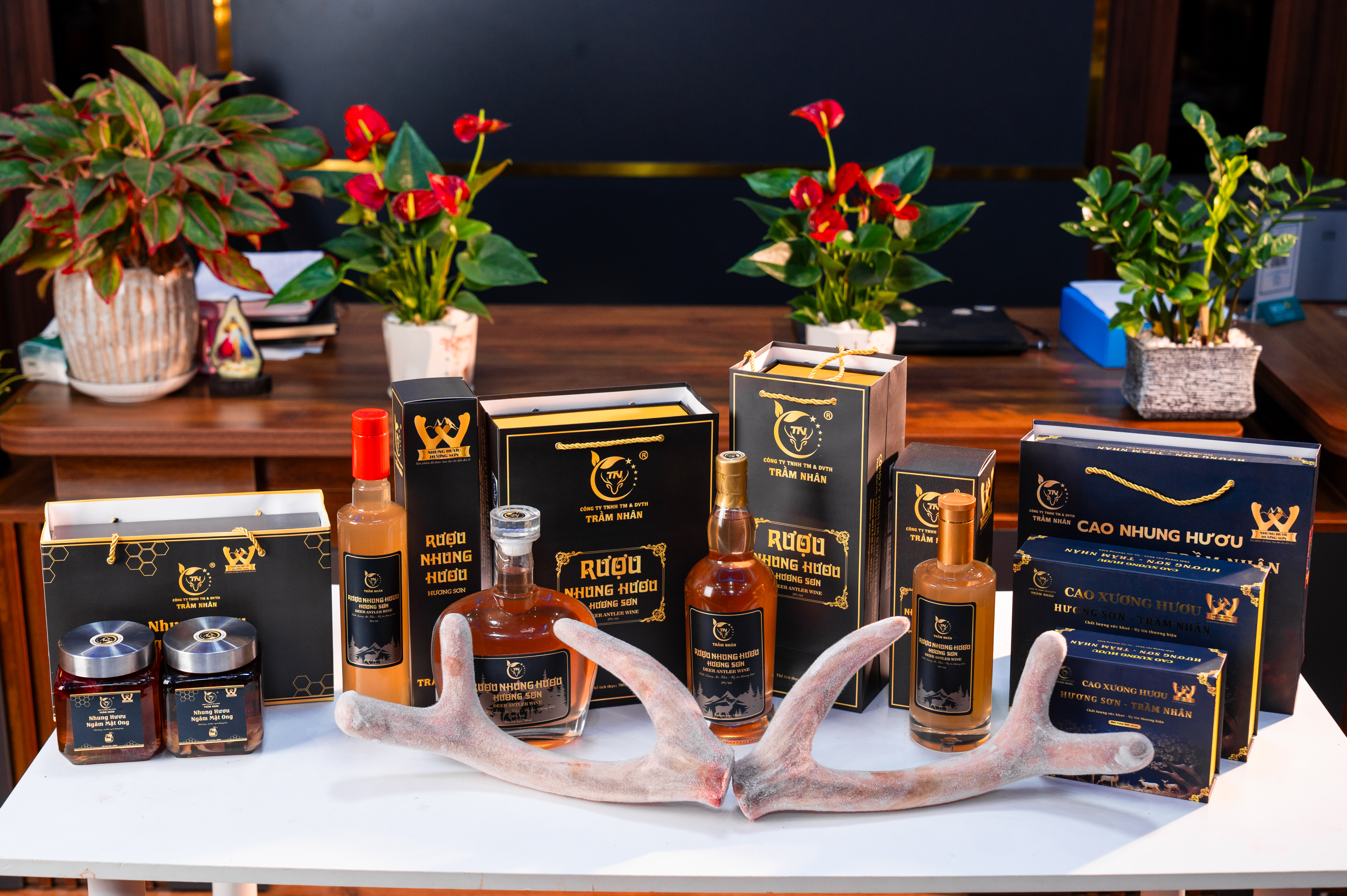 Rượu Nhung Hươu Hương Sơn - Trầm Nhân